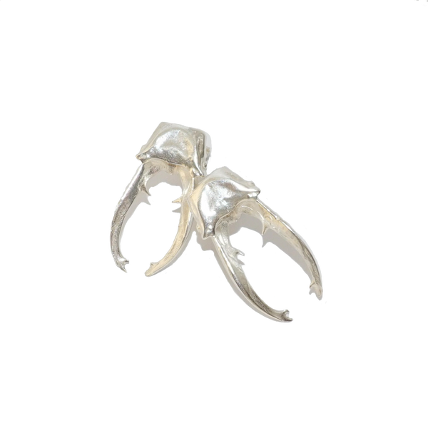 Sterling Silver stag Beetle Earrings