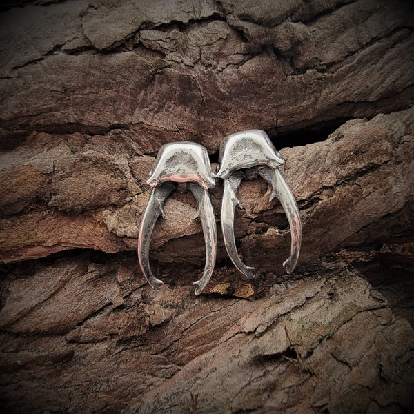 Sterling Silver stag Beetle Earrings