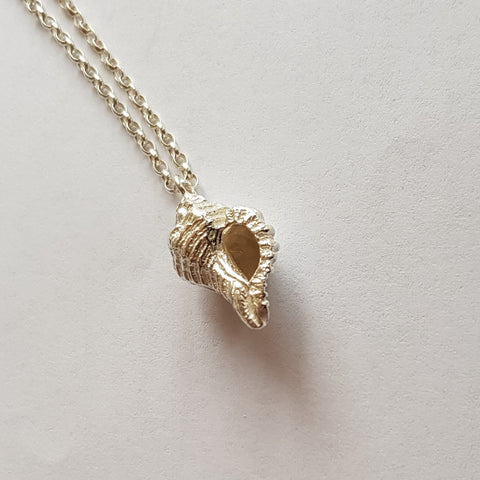 Sterling Silver Welk Shell Pendant, Necklace
