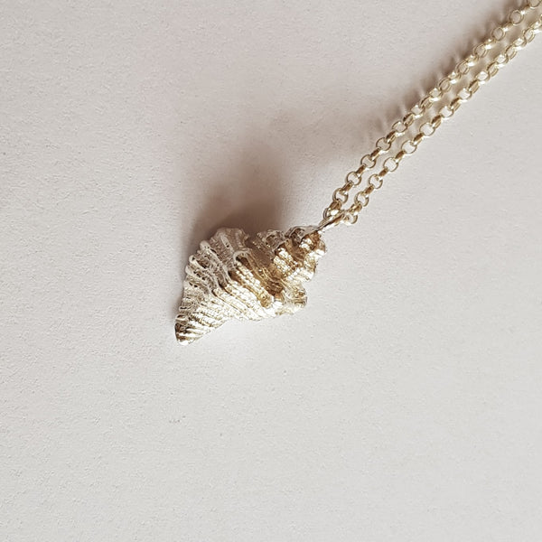 Sterling Silver Welk Shell Pendant, Necklace