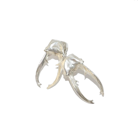 Sterling Silver stag Beetle Earrings