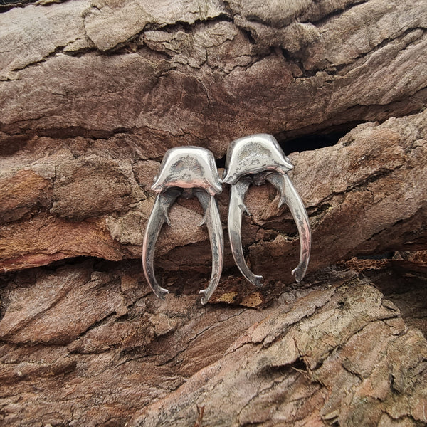 Sterling Silver Stag Beetle Earrings