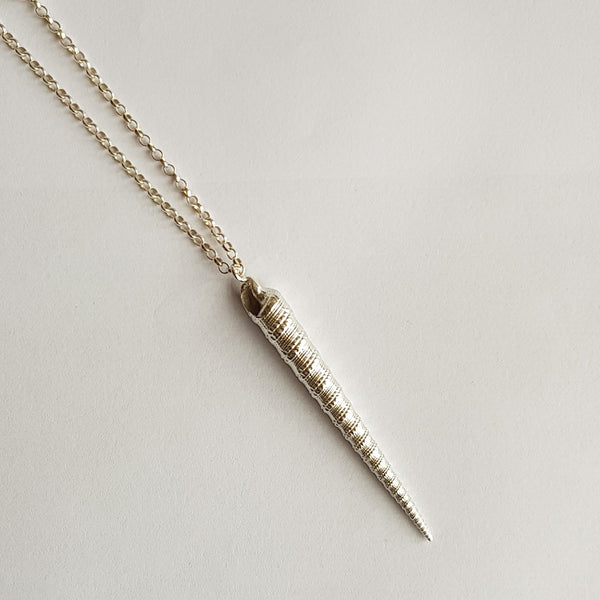 Terebra Cumingi Auger Shell Pendant